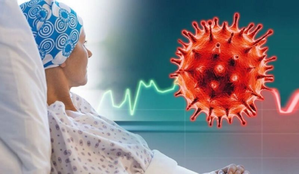 آزمایش موفقیت&zwnj;آمیز داروی تک&zwnj;دوز سرطان پستان روی موش&zwnj;ها