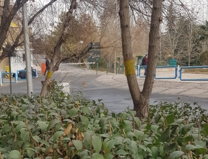 آلودگی هوا و تاثیر آن بر زندگی