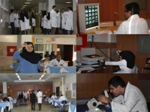 قائم مقام معاون آموزشی وزیر بهداشت خبرداد