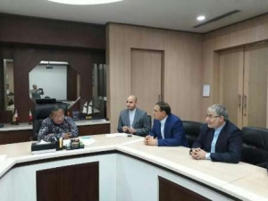 دیدار دبیر ستاد ویژه توسعه فناوری نانو ایران با وزیرهماهنگی اموراقتصادی اندونزی  پیشنهاد اندونزی برای ایجاد کارگروه مشترک با ایران در زمینه فناوری نانو