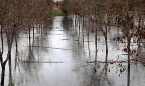خسارت دو هزار و 540 میلیارد ریالی سیل به بخش کشاورزی آذربایجان شرقی
