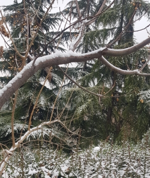 وضعیت منابع آب و مدیریت بحران کم آبی